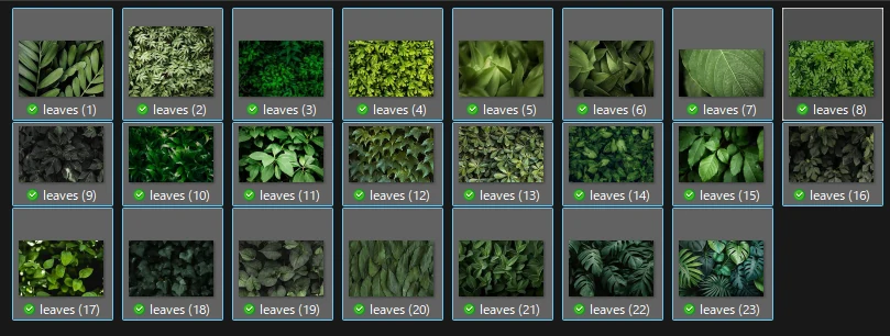23 leaf photos in a folder